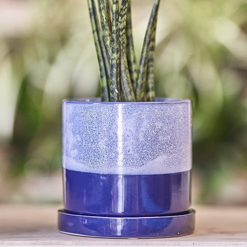 CHIVE â€˜Minuteâ€™ Ceramic Planter Pot â€” Cute 5â€ Colorful Succulent Pots for Indoor & Outdoor House Plants â€” Beautiful Modern Farmhouse Kitchen Decor â€” Cobalt Blue - Image 4
